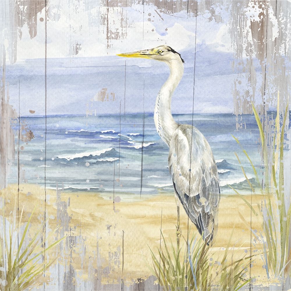 Birds of the Coast Rustic II art print by Tara Reed for $57.95 CAD