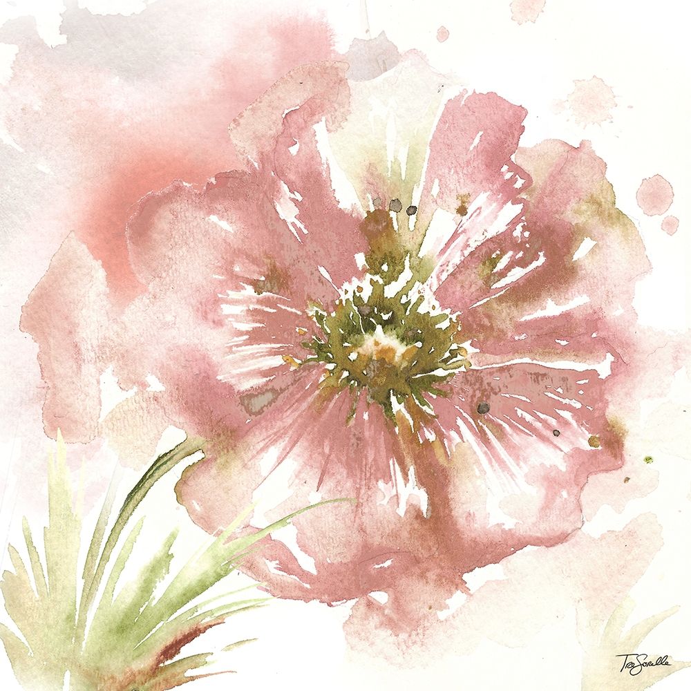Blush Watercolor Poppy I art print by Tre Sorelle Studios for $57.95 CAD