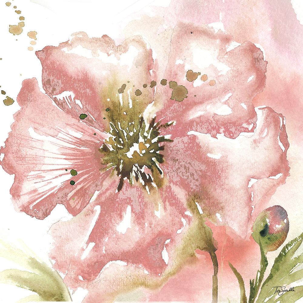 Blush Watercolor Poppy II art print by Tre Sorelle Studios for $57.95 CAD