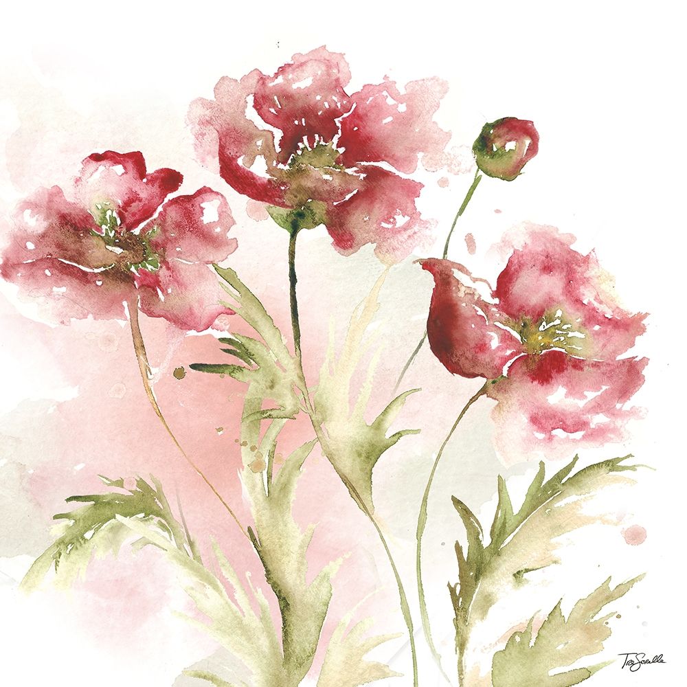 Blush Watercolor Poppy III art print by Tre Sorelle Studios for $57.95 CAD