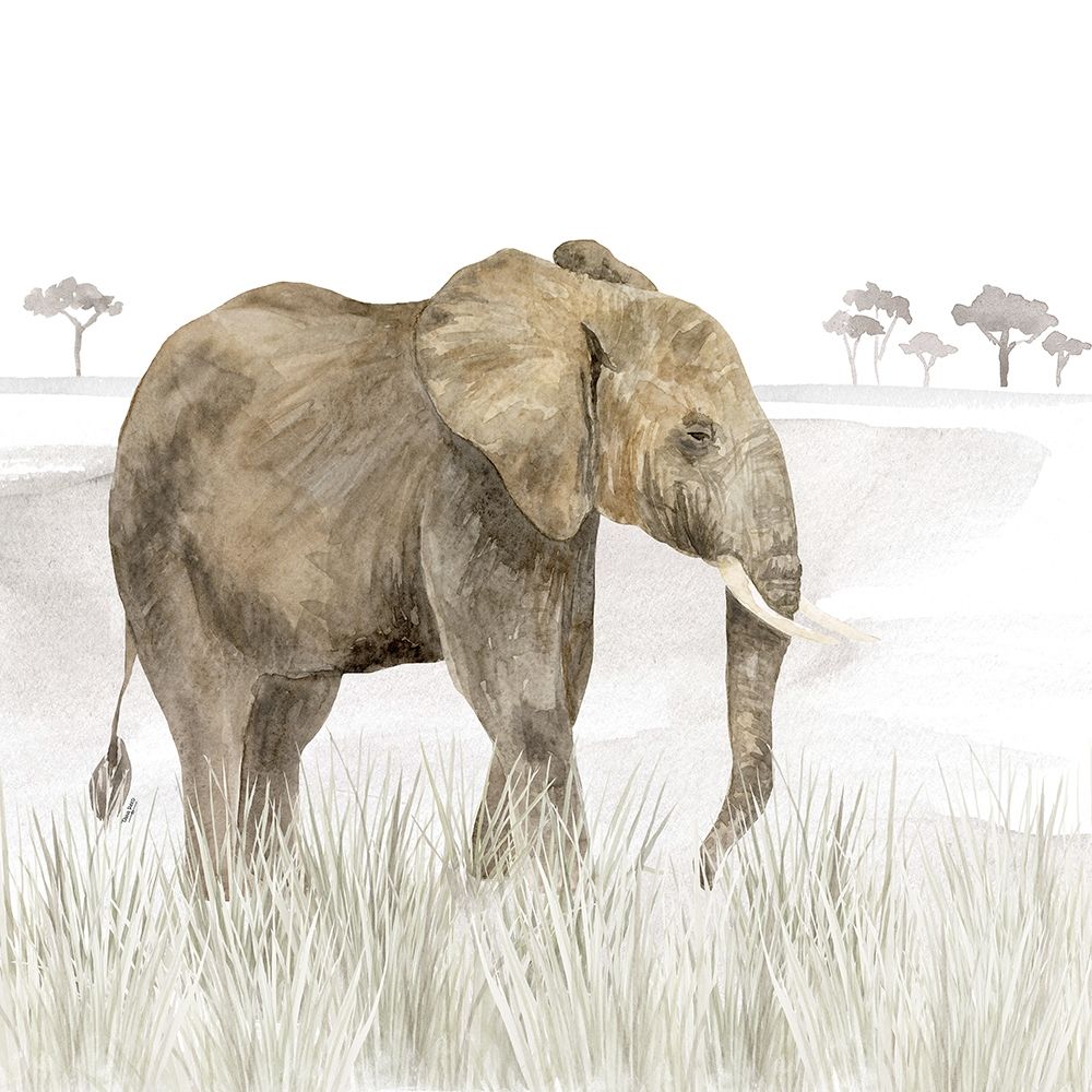 Serengeti Elephant Square art print by Tara Reed for $57.95 CAD