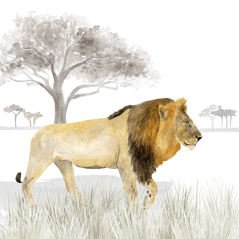 Serengeti Lion Square art print by Tara Reed for $57.95 CAD