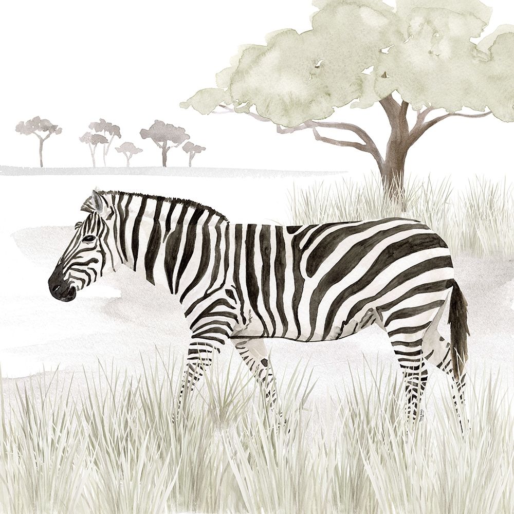 Serengeti Zebra Square art print by Tara Reed for $57.95 CAD