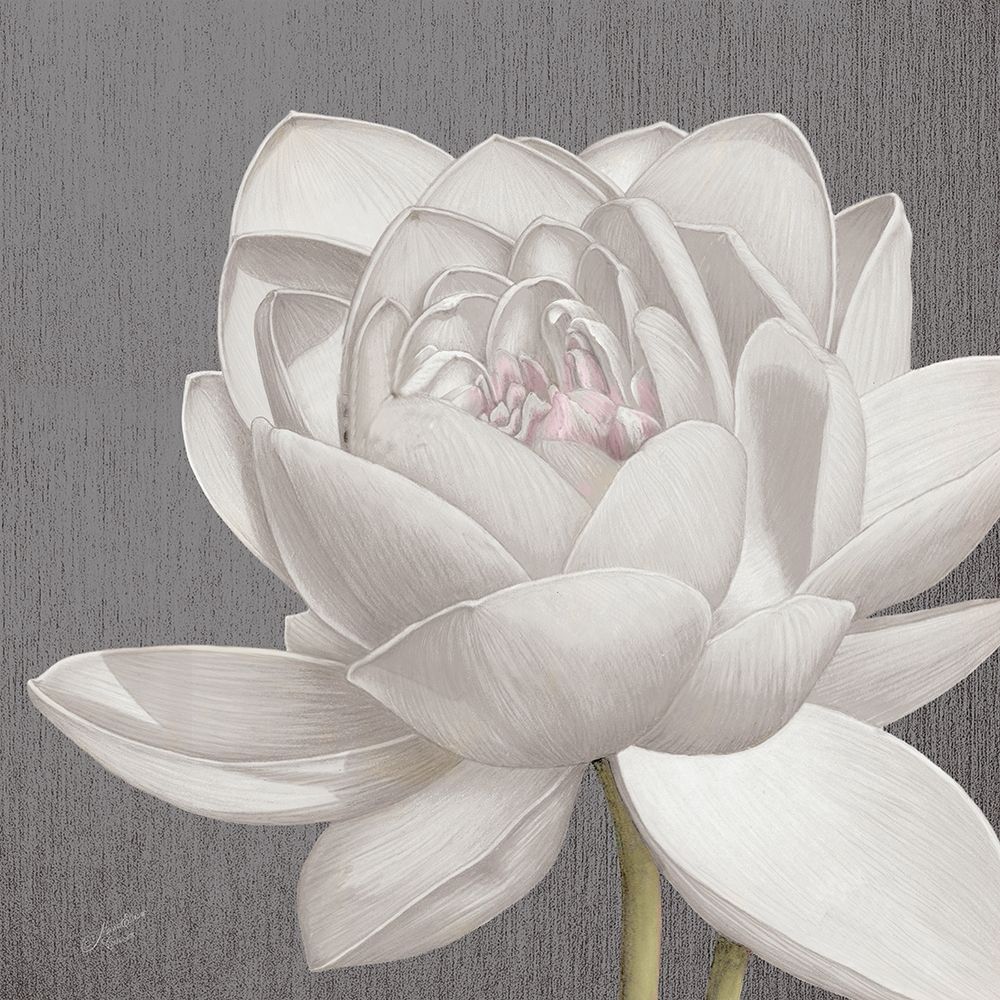 Vintage Lotus on Grey II art print by Marie-Elaine Cusson for $57.95 CAD