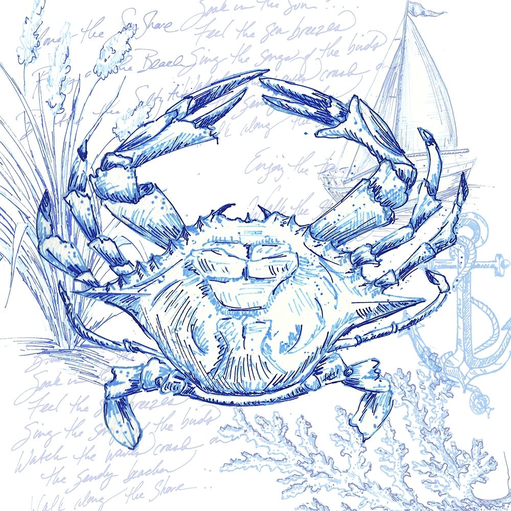 Coastal Sketchbook Crab art print by Tre Sorelle Studios for $57.95 CAD