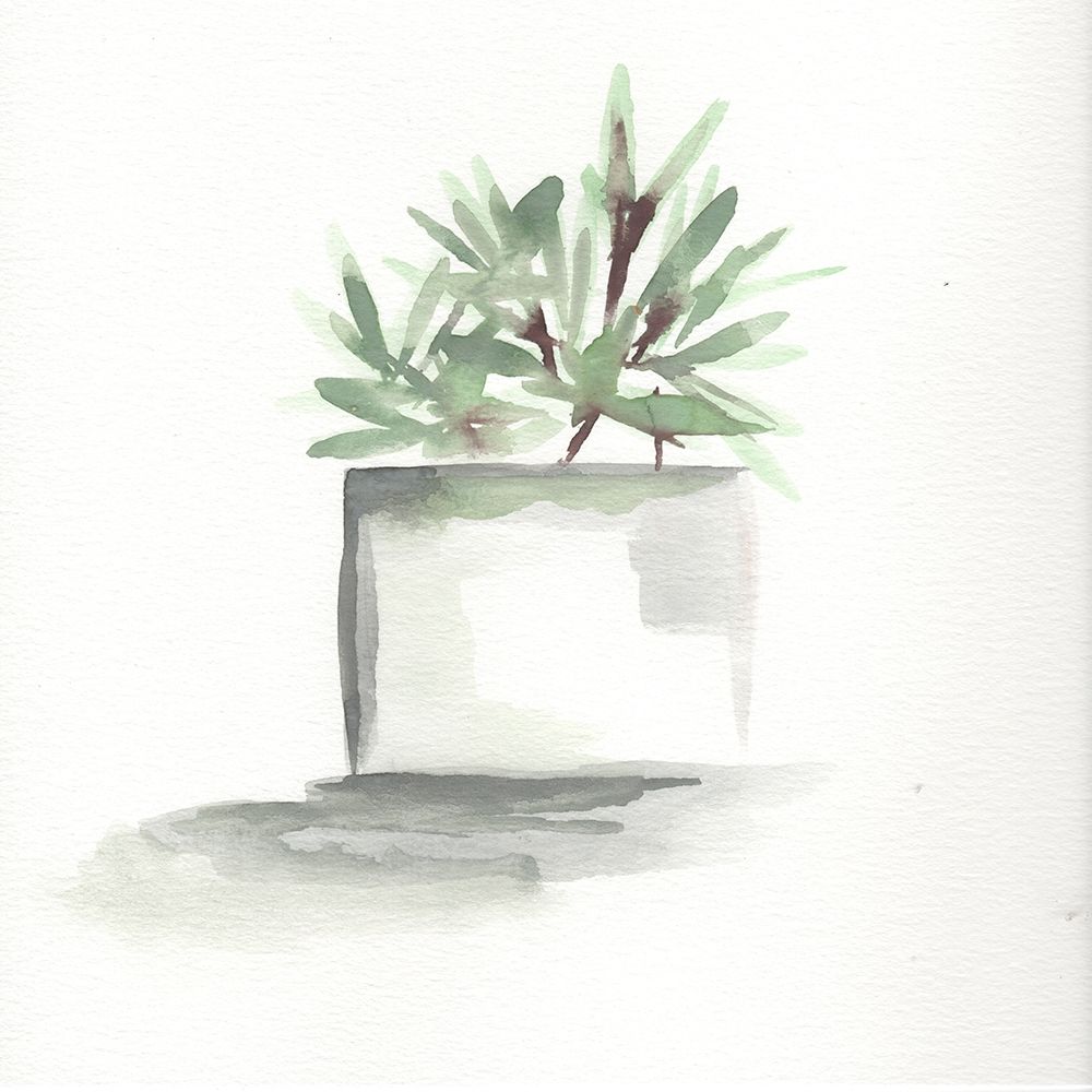 Watercolor Cactus Still Life IV art print by Marcy Chapman for $57.95 CAD