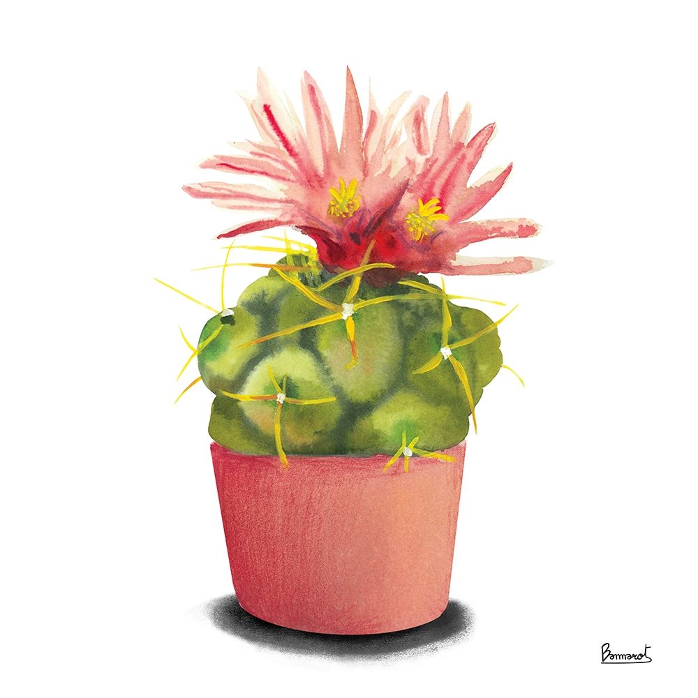 Cactus Flowers I art print by Bannarot for $57.95 CAD