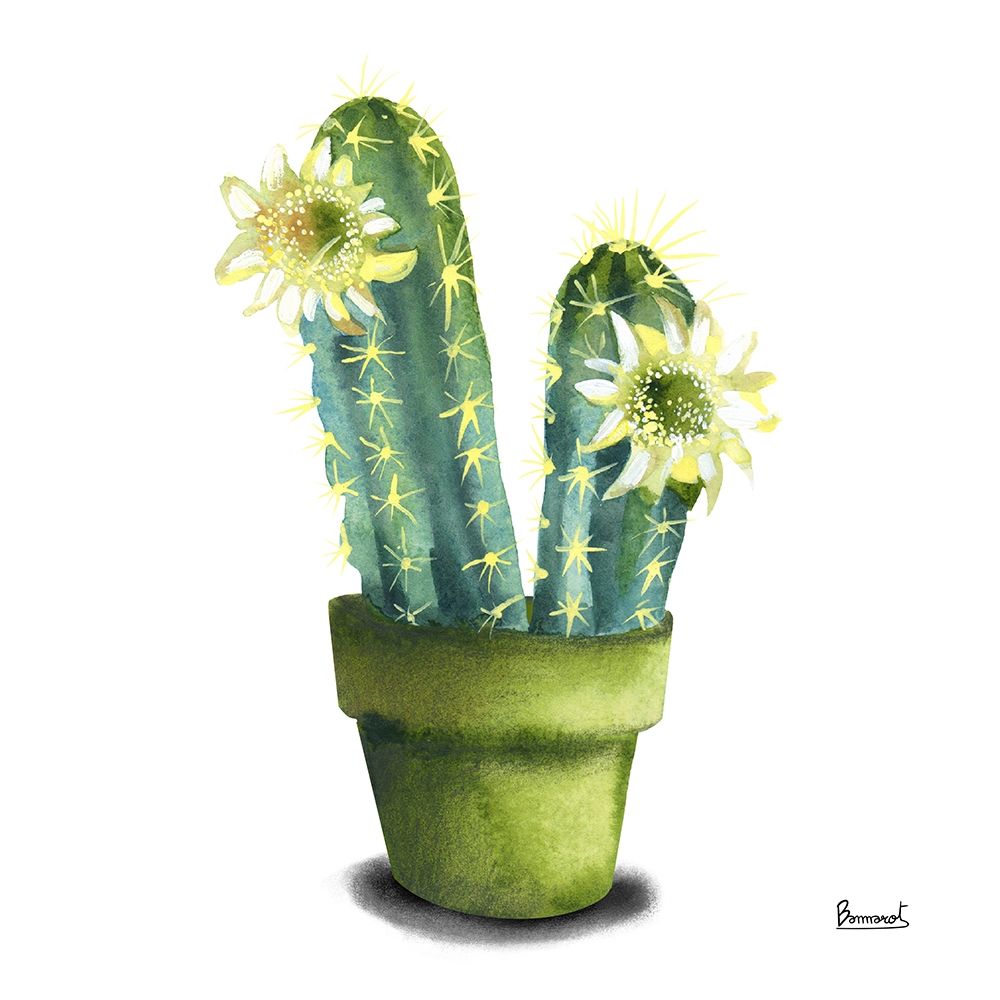 Cactus Flowers II art print by Bannarot for $57.95 CAD