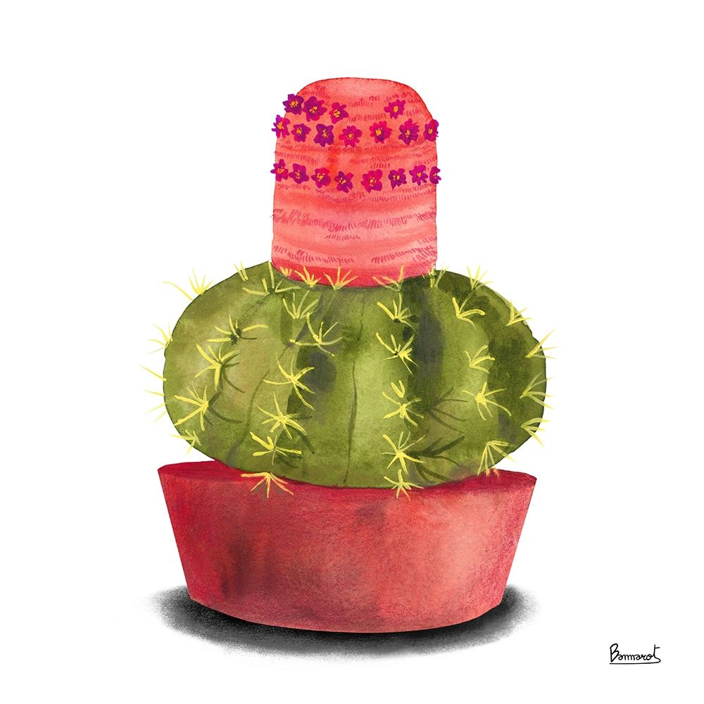 Cactus Flowers IV art print by Bannarot for $57.95 CAD