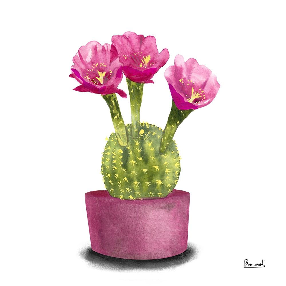 Cactus Flowers V art print by Bannarot for $57.95 CAD