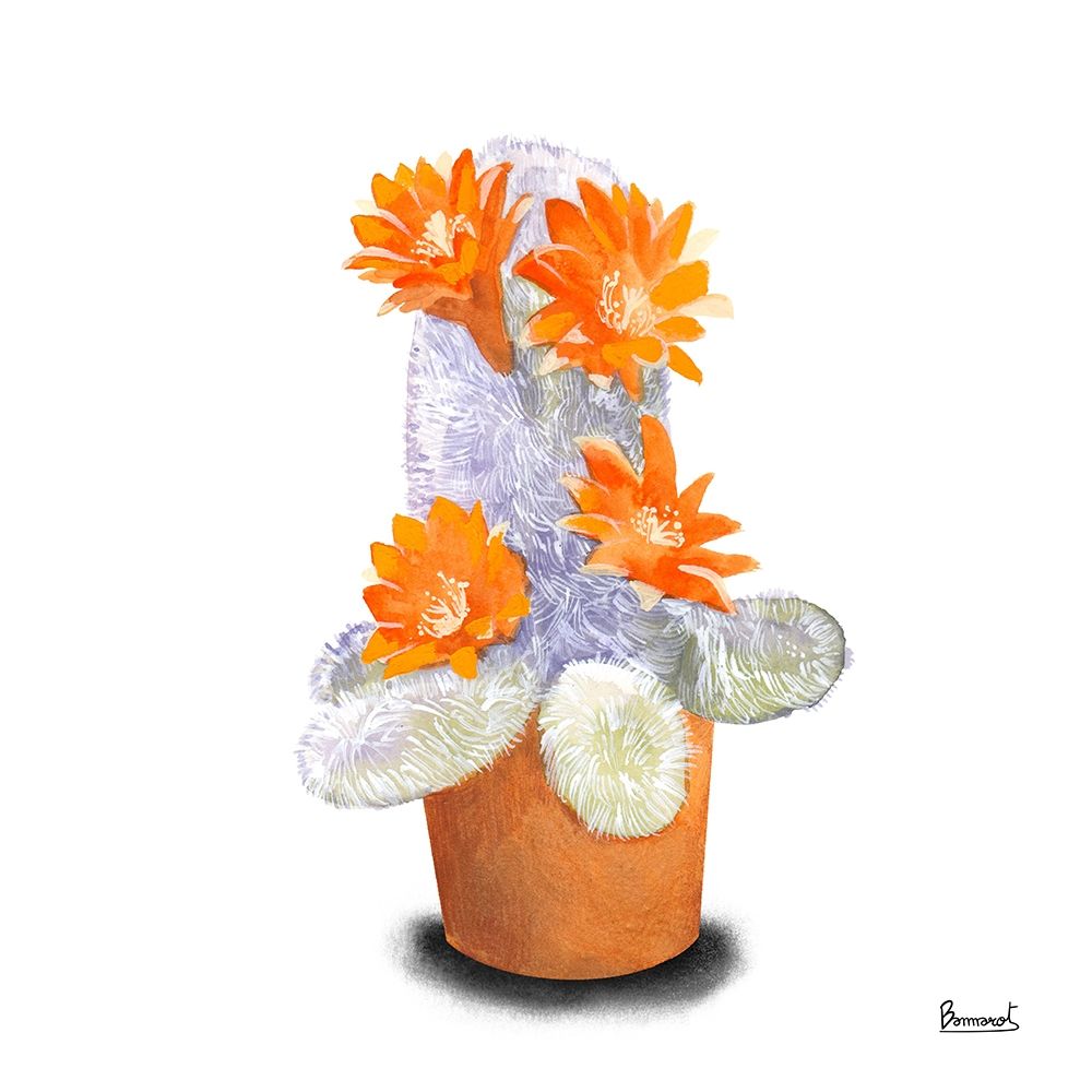 Cactus Flowers VI art print by Bannarot for $57.95 CAD
