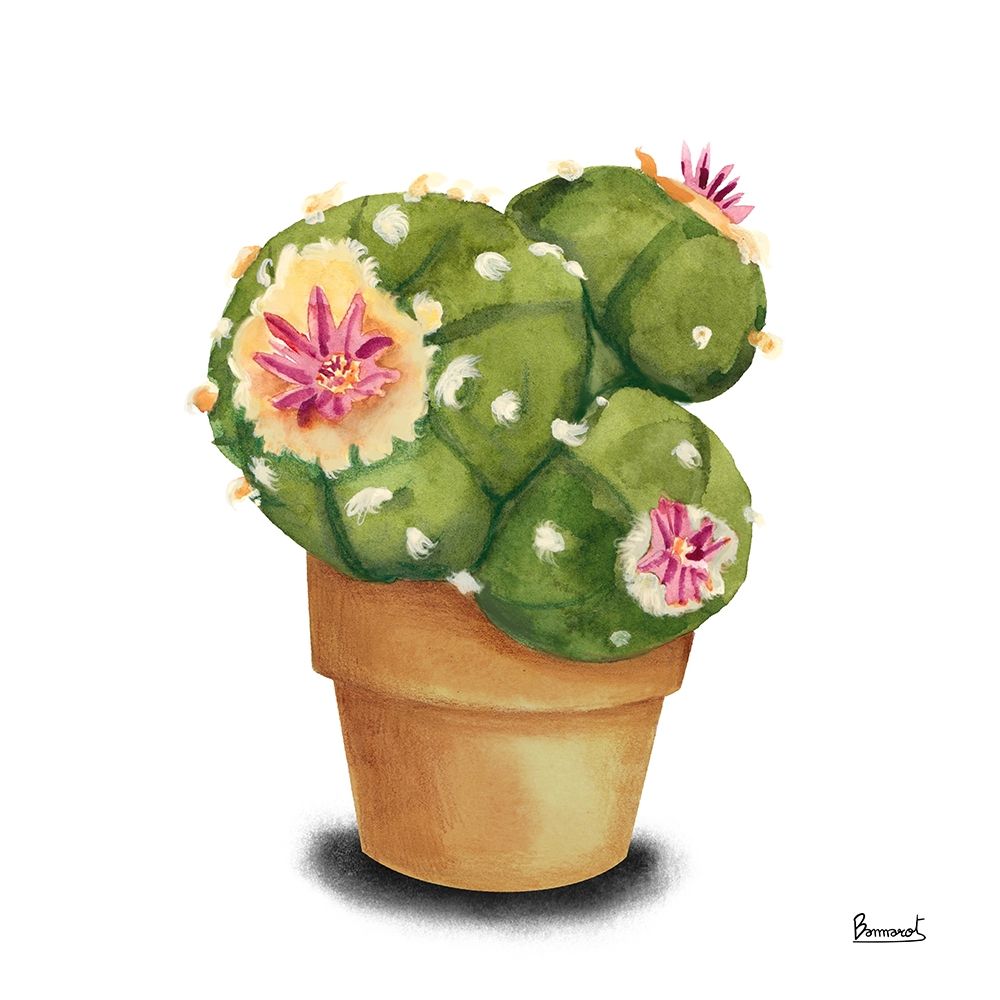 Cactus Flowers VII art print by Bannarot for $57.95 CAD