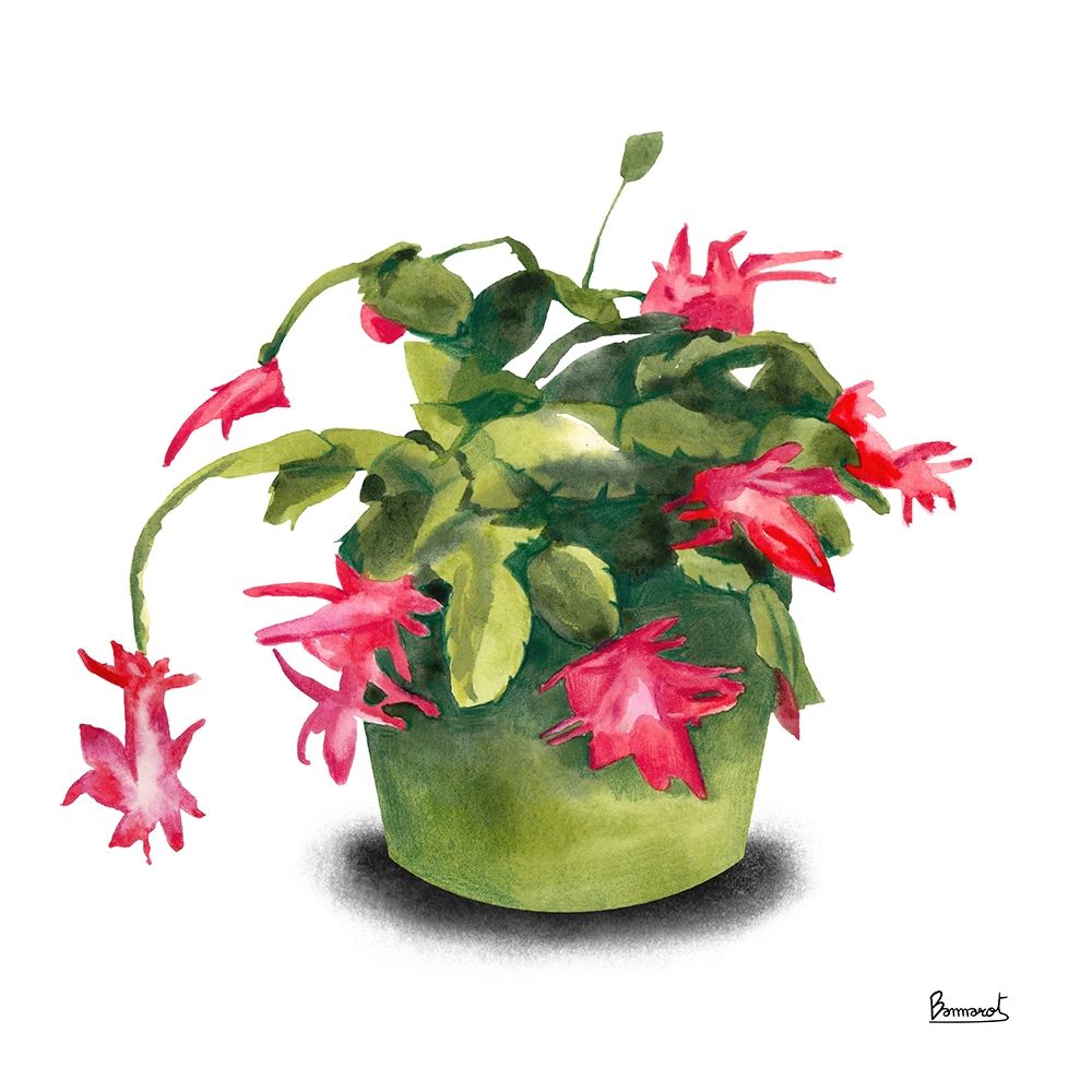 Cactus Flowers VIII art print by Bannarot for $57.95 CAD