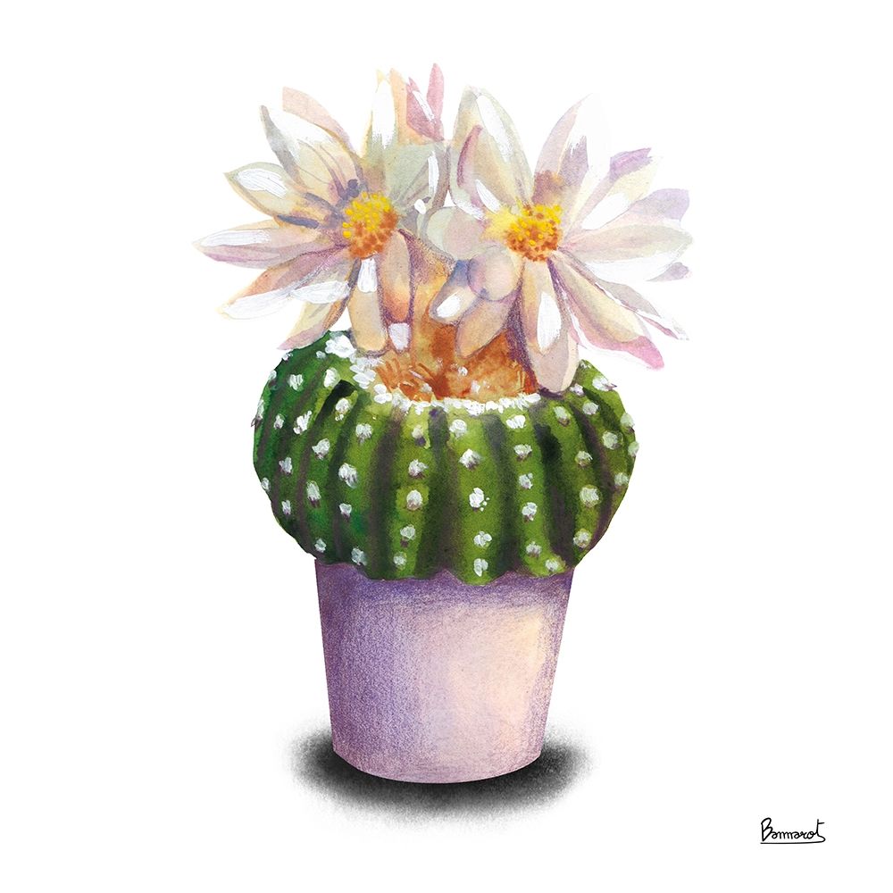 Cactus Flowers IX art print by Bannarot for $57.95 CAD