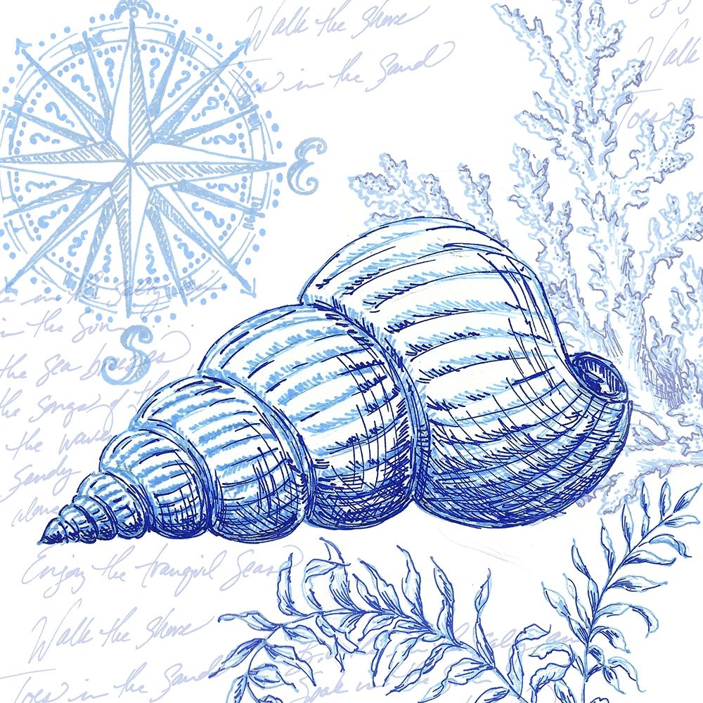 Coastal Sketchbook-Sea Shell  art print by Tre Sorelle Studios for $57.95 CAD