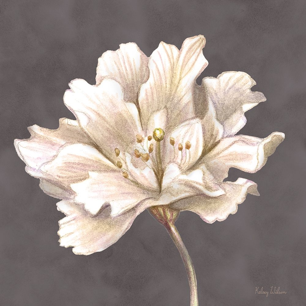 Cream Willow Blossom I art print by Kelsey Wilson for $57.95 CAD