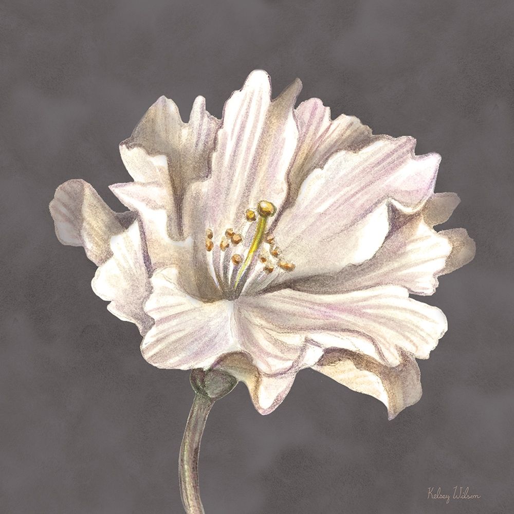 Cream Willow Blossom II art print by Kelsey Wilson for $57.95 CAD
