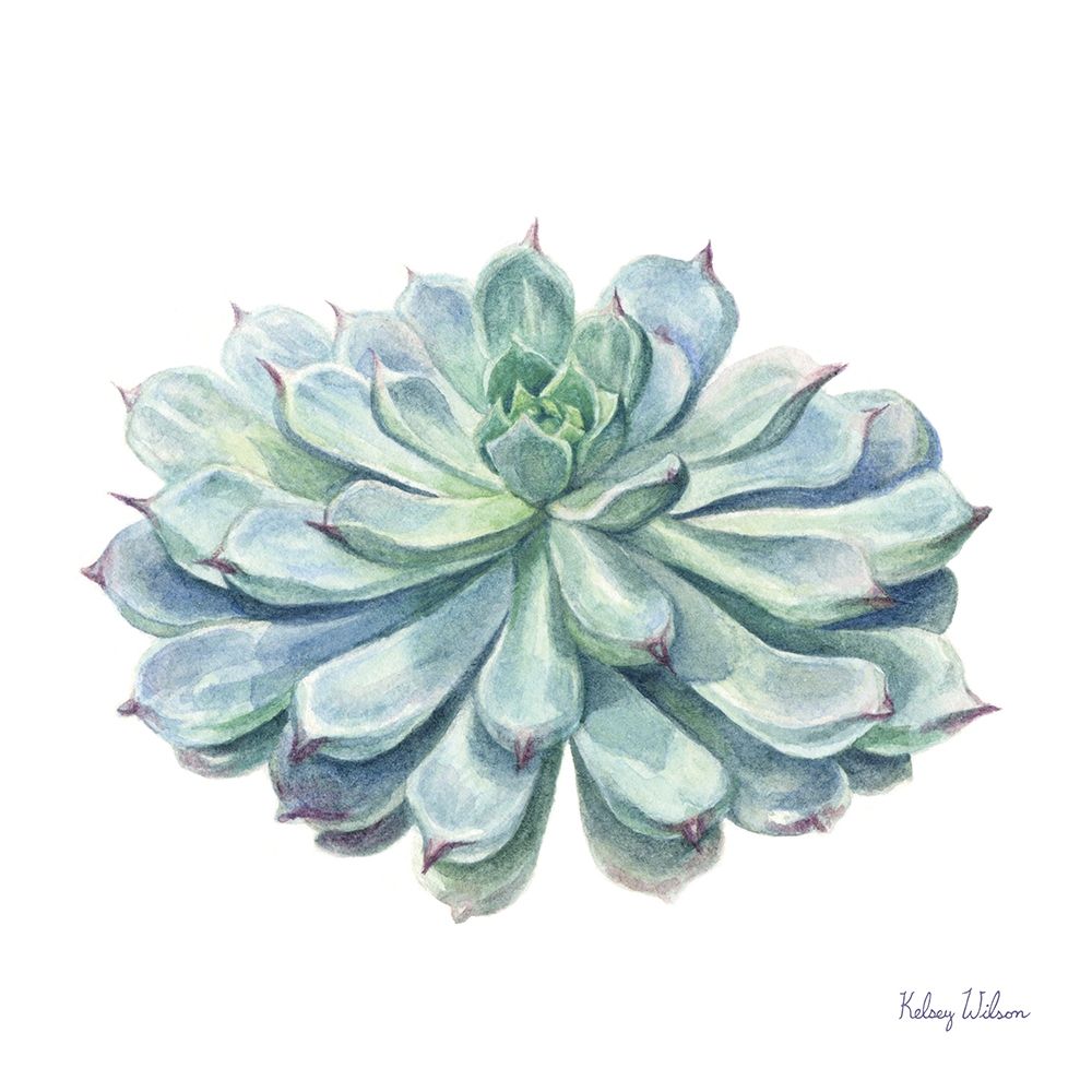 Single Succulents I art print by Kelsey Wilson for $57.95 CAD