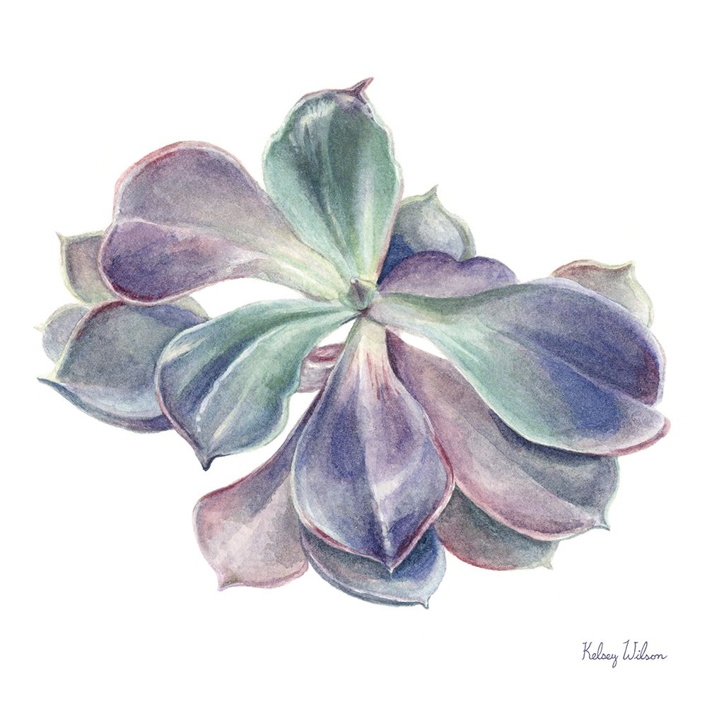 Single Succulents II art print by Kelsey Wilson for $57.95 CAD