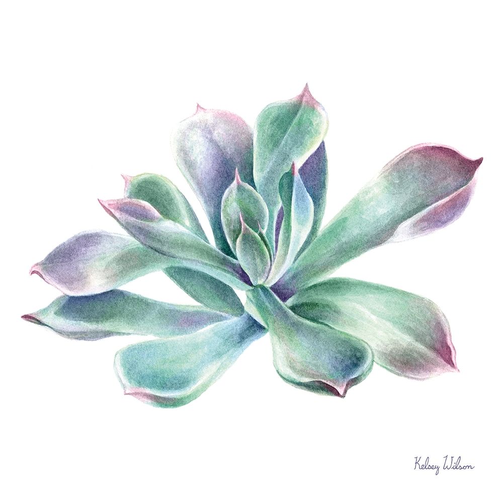 Single Succulents III art print by Kelsey Wilson for $57.95 CAD