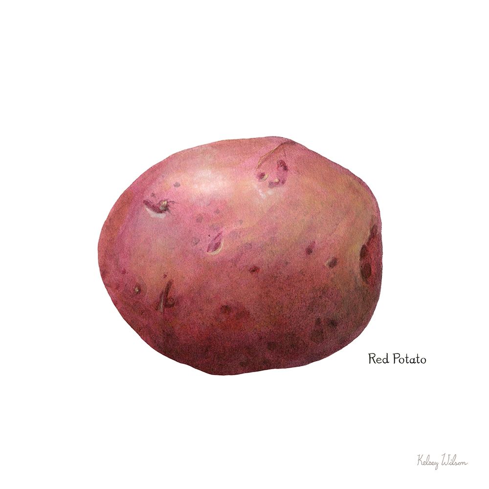 Organic Potatoes II art print by Kelsey Wilson for $57.95 CAD
