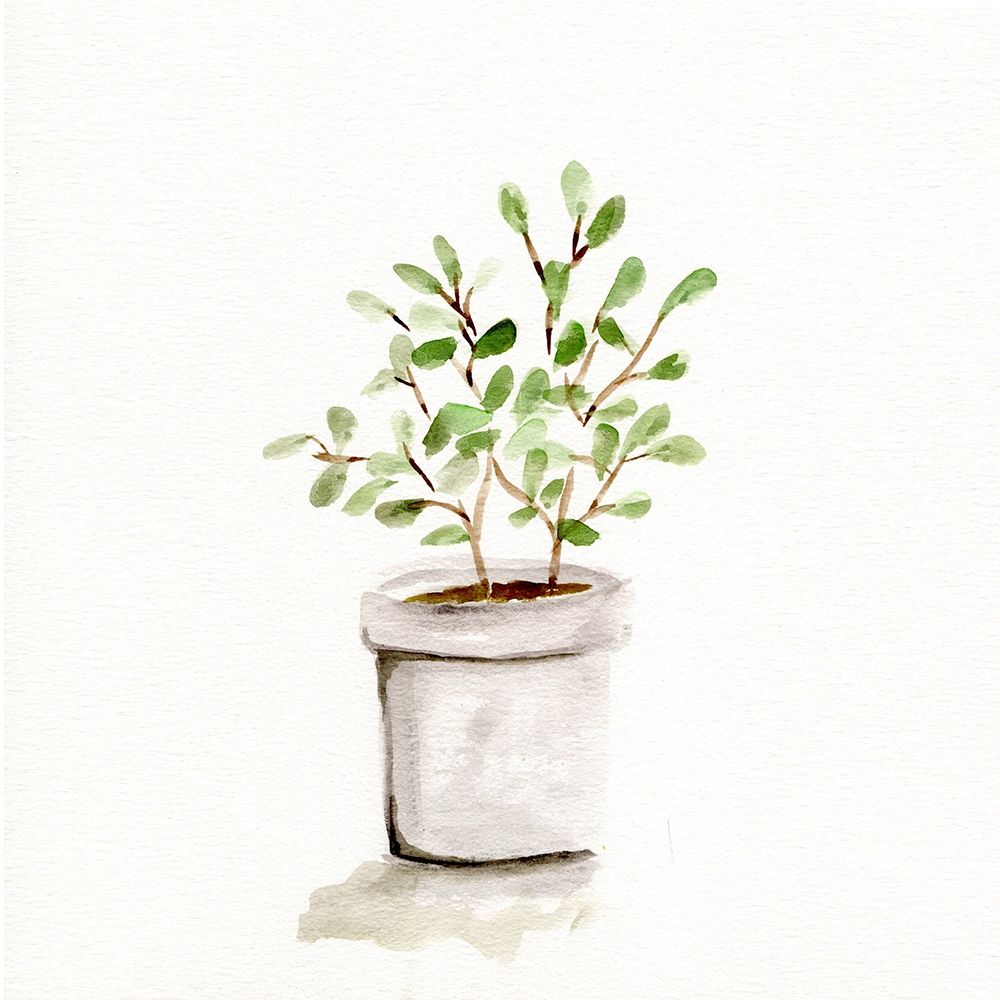 Potted Botanicals I art print by Marcy Chapman for $57.95 CAD