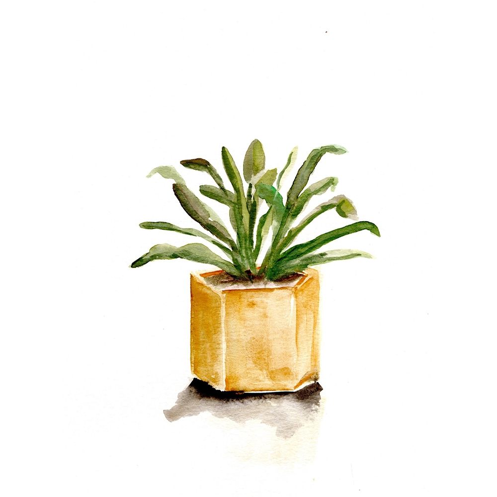 Potted Botanicals II art print by Marcy Chapman for $57.95 CAD