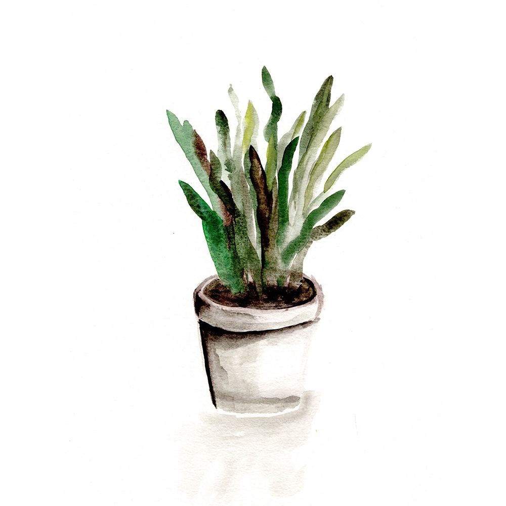 Potted Botanicals III art print by Marcy Chapman for $57.95 CAD