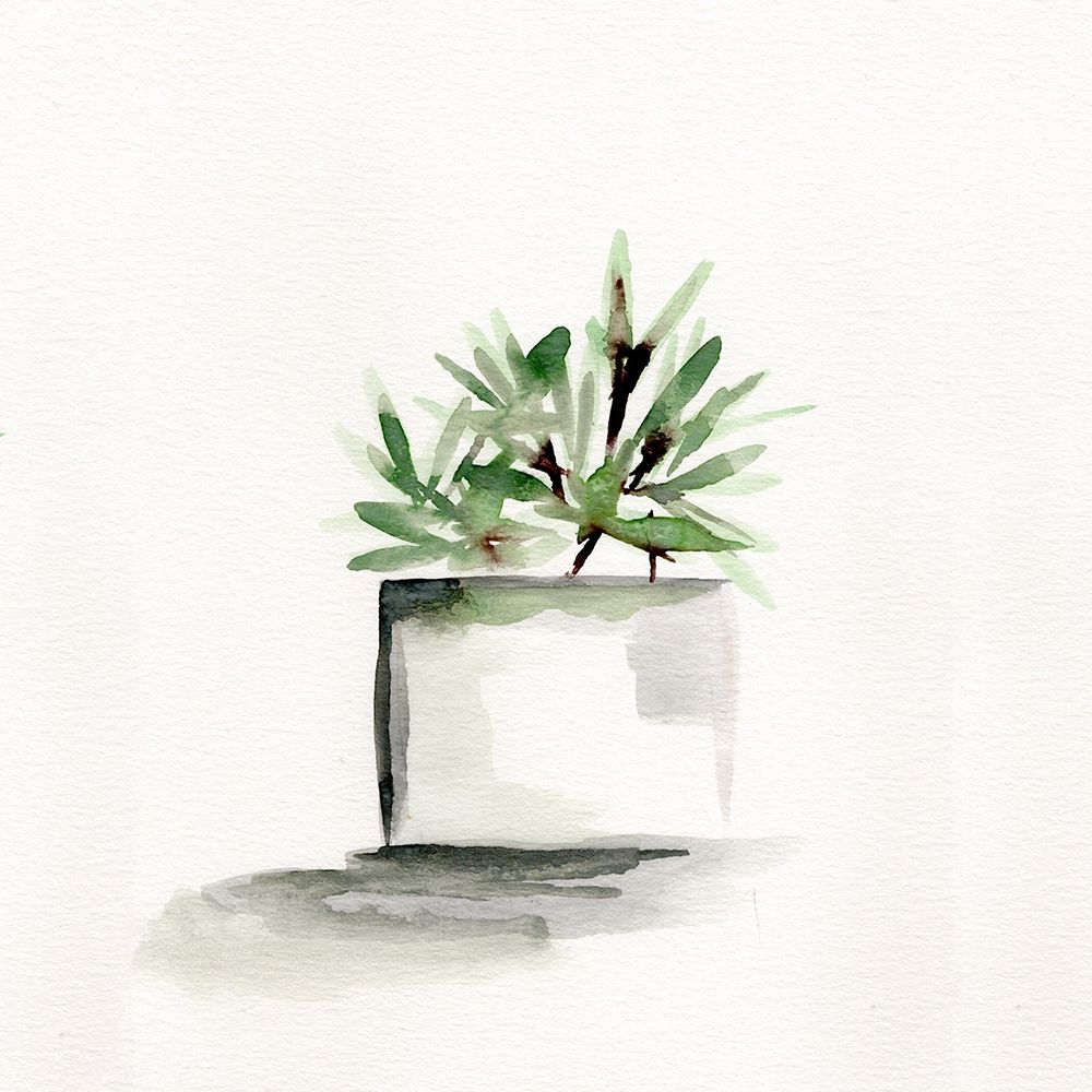 Potted Botanicals IV art print by Marcy Chapman for $57.95 CAD