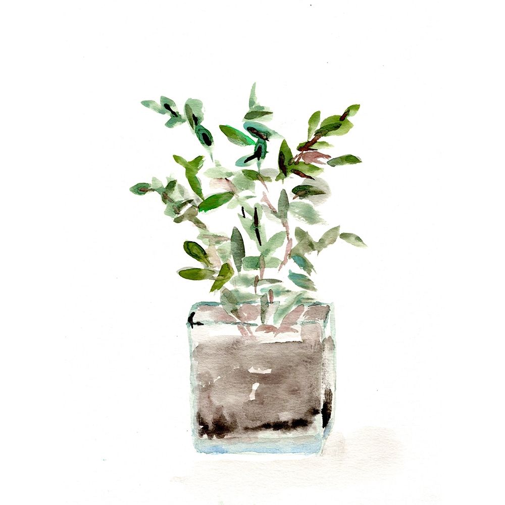Potted Botanicals V art print by Marcy Chapman for $57.95 CAD