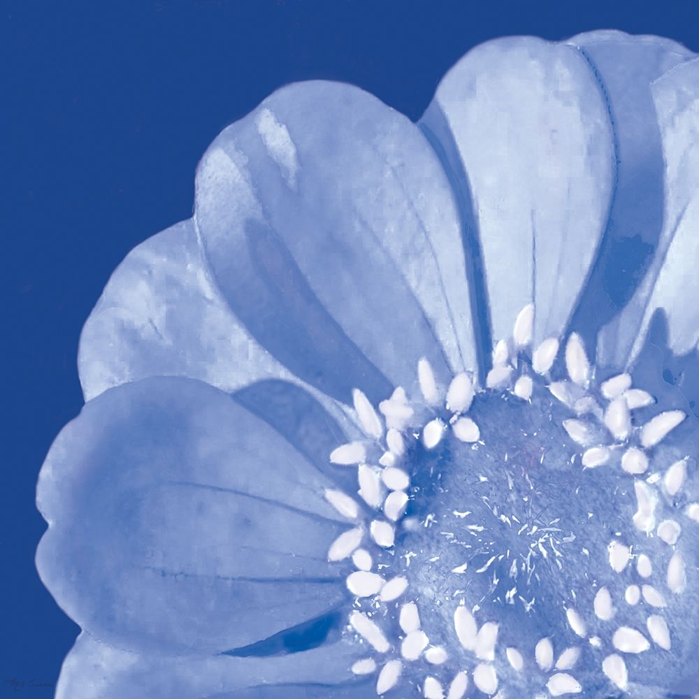 Flower Pop blue I art print by Marie-Elaine Cusson for $57.95 CAD