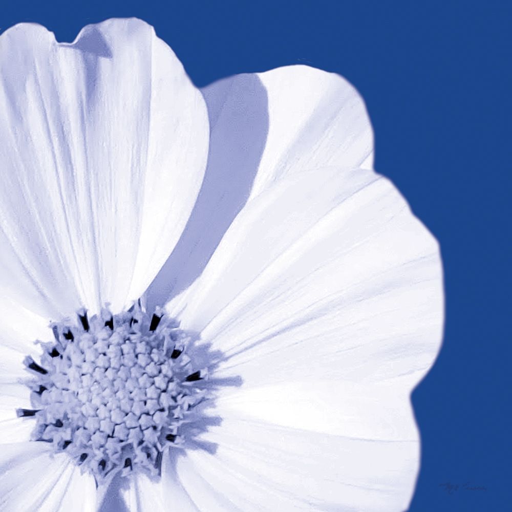 Flower Pop blue III art print by Marie-Elaine Cusson for $57.95 CAD