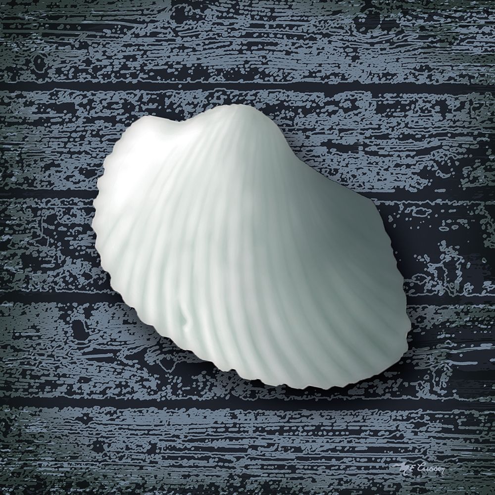 Seashore Shells Navy I art print by Marie-Elaine Cusson for $57.95 CAD