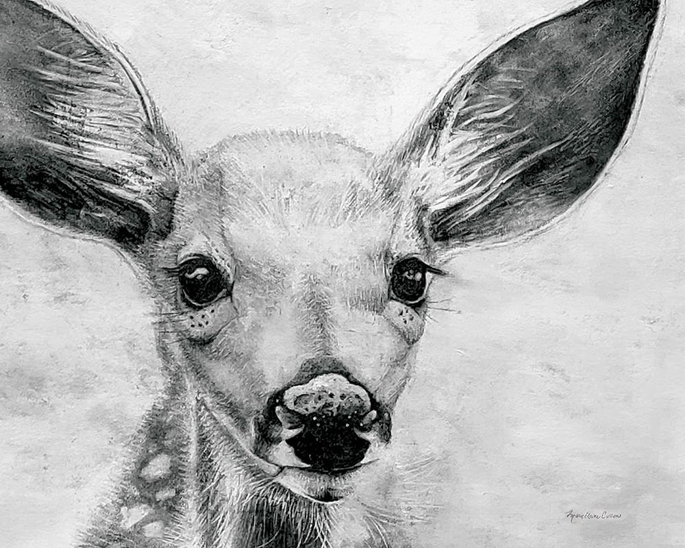 Portrait of a Fawn art print by Marie-Elaine Cusson for $57.95 CAD