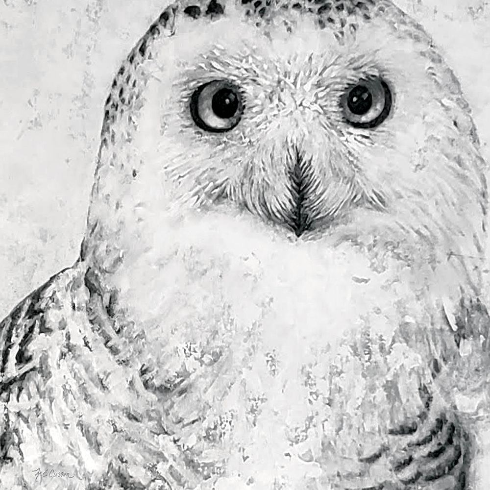 Portrait of a Snowy Owl art print by Marie-Elaine Cusson for $57.95 CAD
