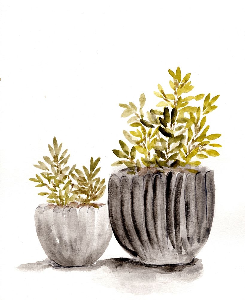 Gray Potted Plants art print by Marcy Chapman for $57.95 CAD