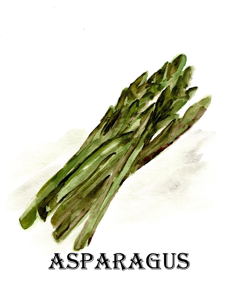 Veggie Sketch  I-Asparagus art print by Marcy Chapman for $57.95 CAD
