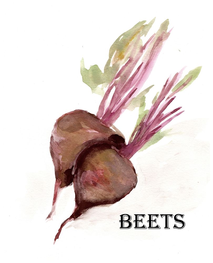 Veggie Sketch  IV-Brown Beets art print by Marcy Chapman for $57.95 CAD