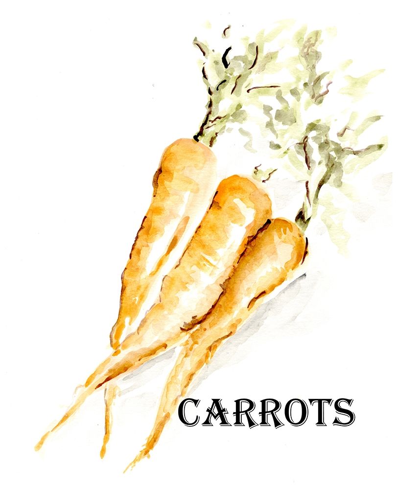 Veggie Sketch  V-Carrots art print by Marcy Chapman for $57.95 CAD