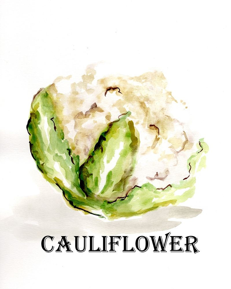 Veggie Sketch  VI-Cauliflower art print by Marcy Chapman for $57.95 CAD