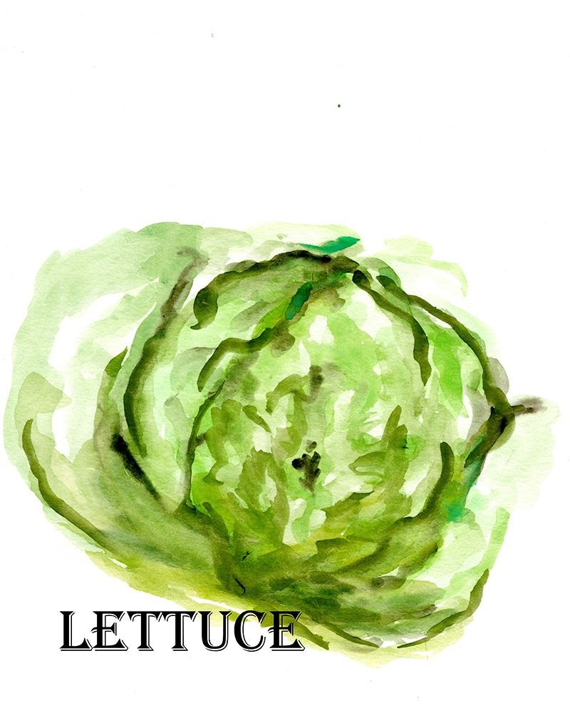 Veggie Sketch  IX-Lettuce art print by Marcy Chapman for $57.95 CAD