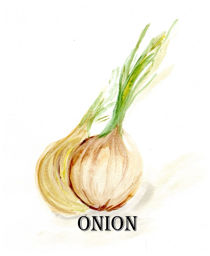 Veggie Sketch X-Onion art print by Marcy Chapman for $57.95 CAD