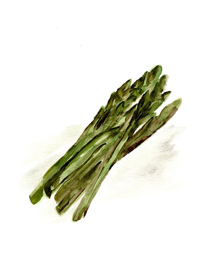 Veggie Sketch plain  I-Asparagus art print by Marcy Chapman for $57.95 CAD