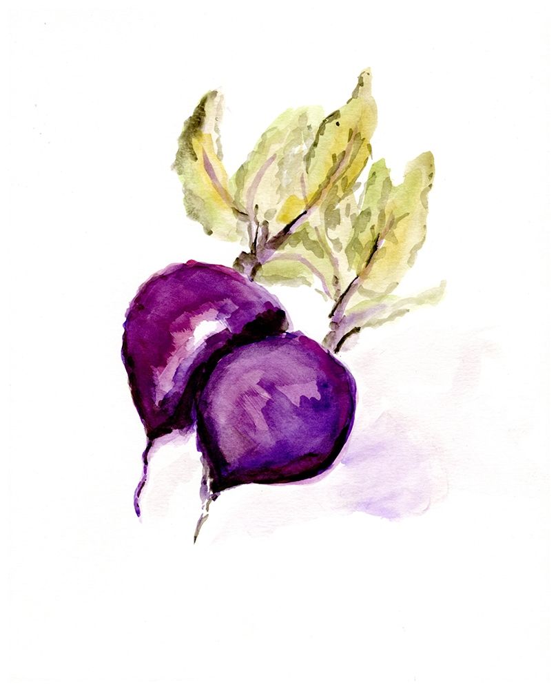 Veggie Sketch plain  III-Beets art print by Marcy Chapman for $57.95 CAD