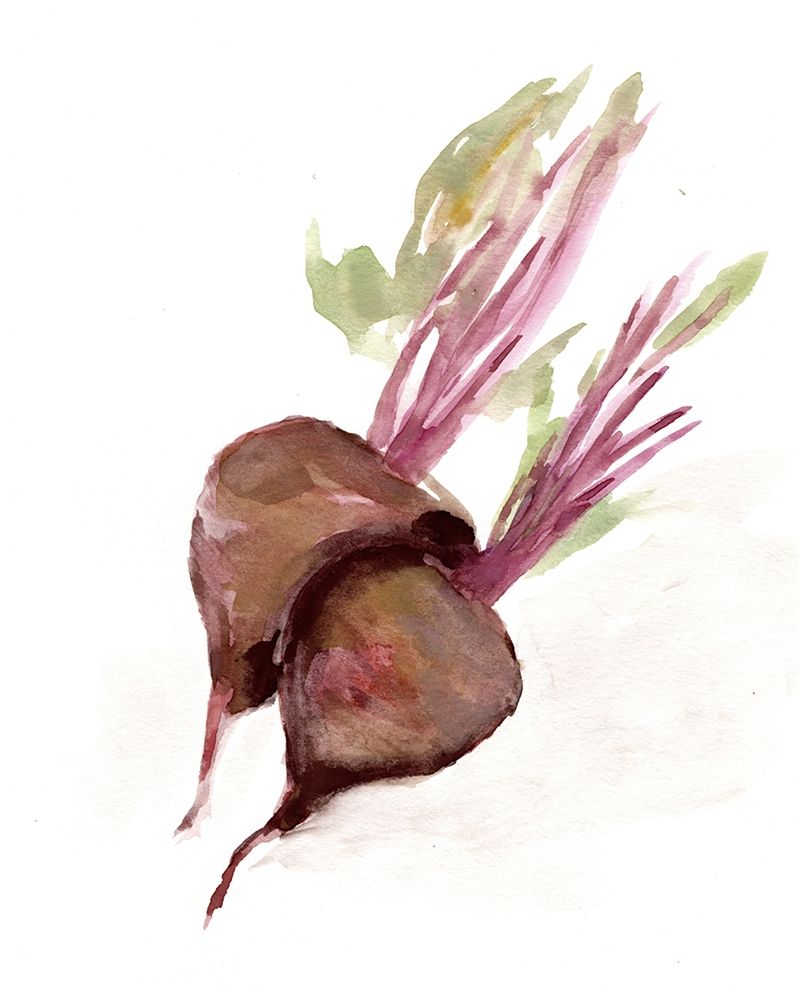 Veggie Sketch plain  IV-Brown Beets art print by Marcy Chapman for $57.95 CAD