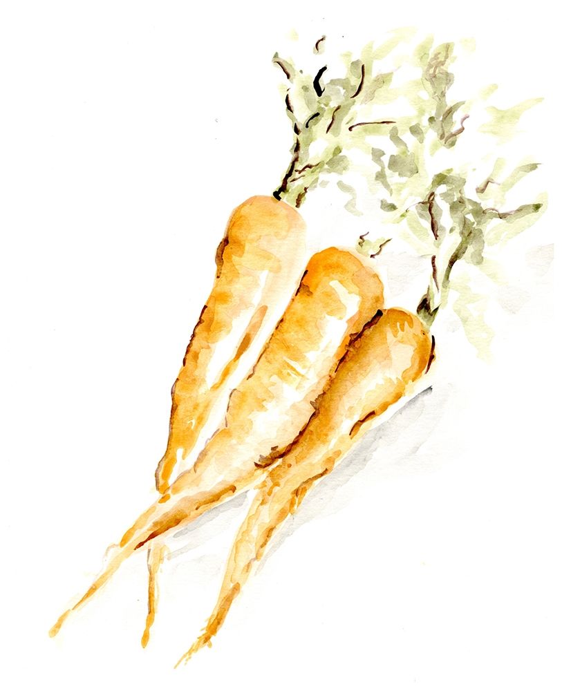 Veggie Sketch plain  V-Carrots art print by Marcy Chapman for $57.95 CAD