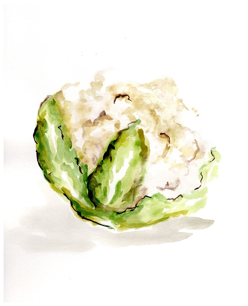 Veggie Sketch plain  VI-Cauliflower art print by Marcy Chapman for $57.95 CAD