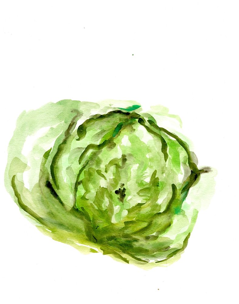 Veggie Sketch plain  IX-Lettuce art print by Marcy Chapman for $57.95 CAD