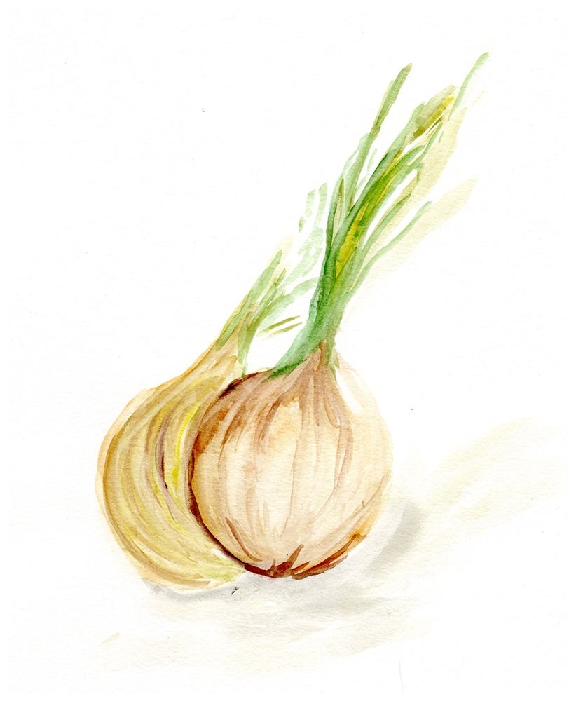 Veggie Sketch plain  X-Onion art print by Marcy Chapman for $57.95 CAD