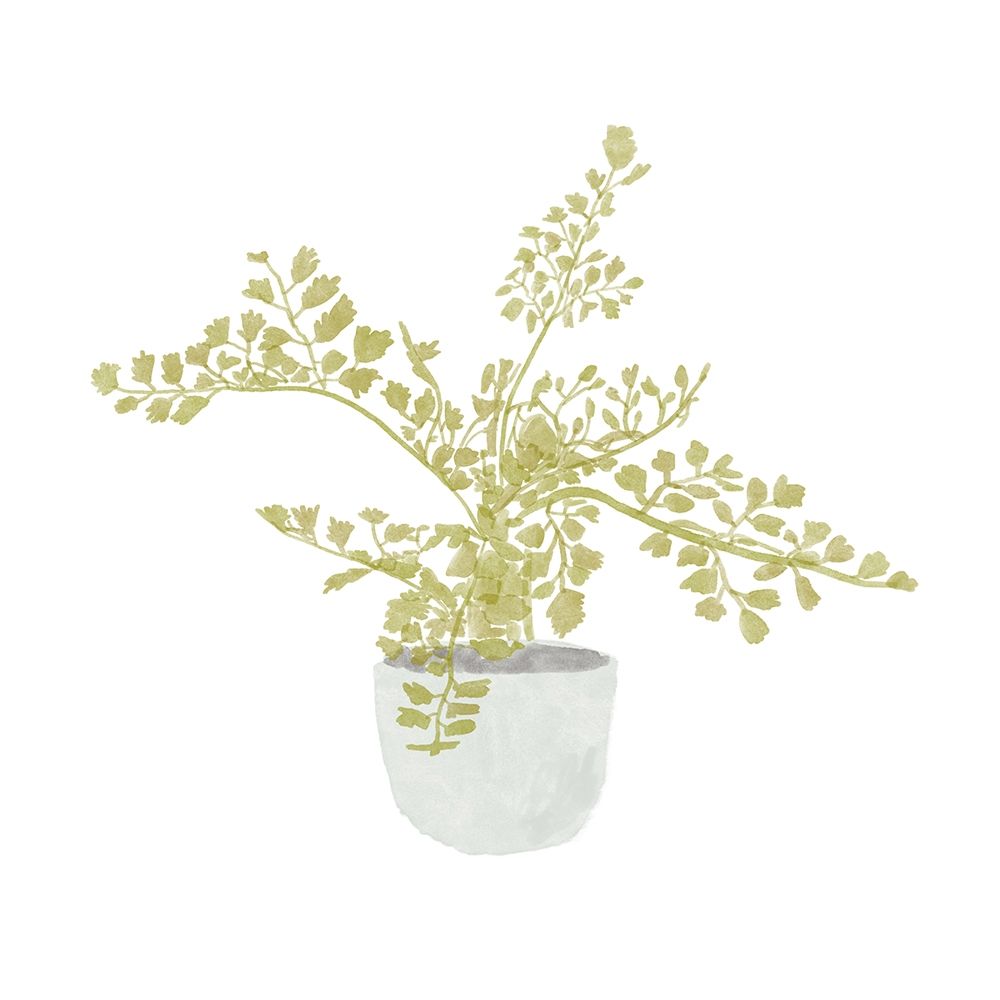 Potted Fern III art print by Bannarot for $57.95 CAD